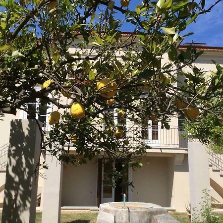 Villa Caterina Сапри Экстерьер фото